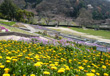 和歌山県植物公園 緑花センター 和歌山県植物公園 緑花センター